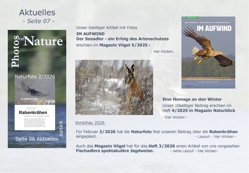 Aktuelles