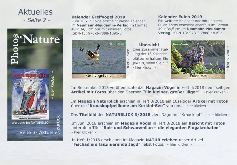 Aktuelles