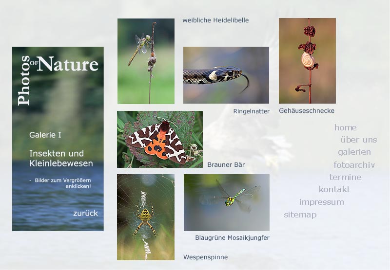 Insekten und Kleinlebewesen